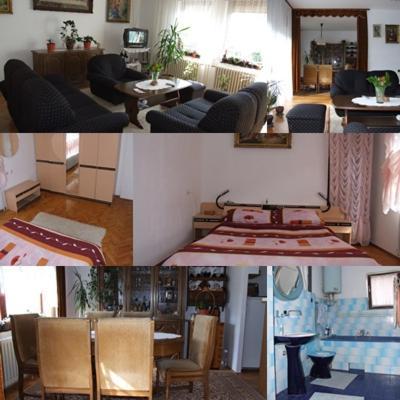 Dokic Apartmani Сокобаня Экстерьер фото